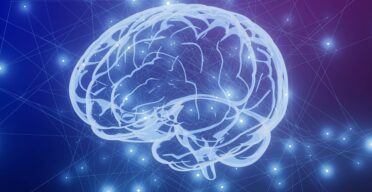 Tau Protein Is Crucial for Encoding Long-Term Memory