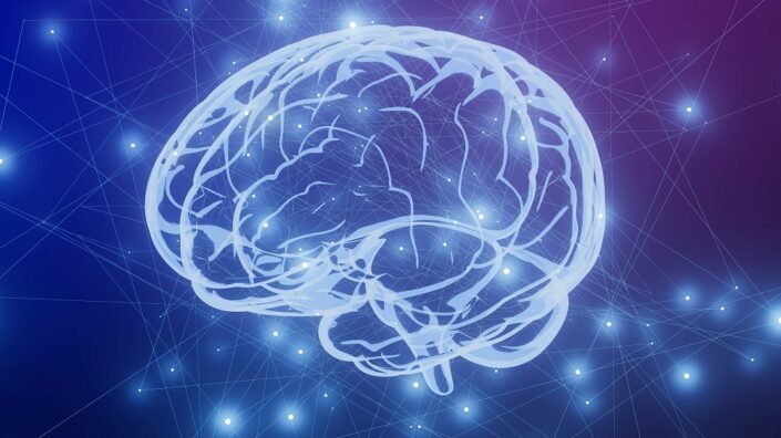 Brain