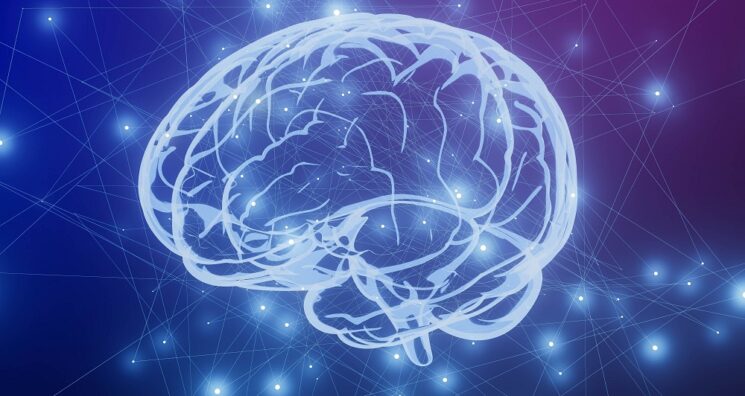 Tau Protein Is Crucial for Encoding Long-Term Memory