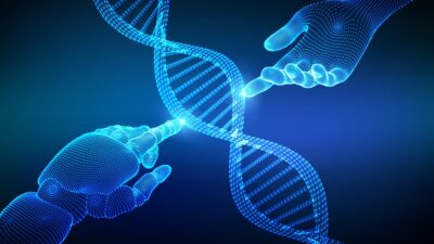 DNA modeling