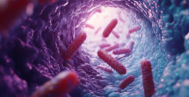 How Intestinal Aging Encourages Harmful Bacteria