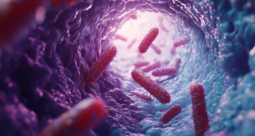 How Intestinal Aging Encourages Harmful Bacteria
