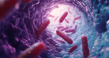How Intestinal Aging Encourages Harmful Bacteria