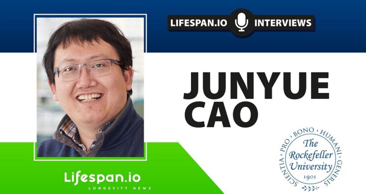 Junyue Cao on How the Body Ages, Cell by Cell