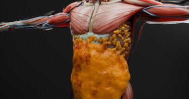 GLP-1 Drugs’ Muscle Effects Similar to Ordinary Weight Loss