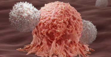 New mRNA Therapy Destroys Cancer by Improving T Cell Priming