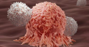 New mRNA Therapy Destroys Cancer by Improving T Cell Priming