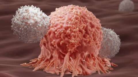 T cells attacking cancer