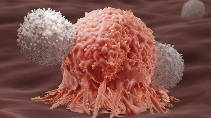 T cells attacking cancer