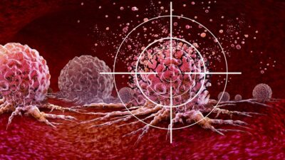 Targeting cancer