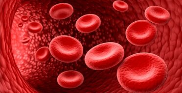 Epigenetic Drug Targets Fat, Improving Blood Vessel Health