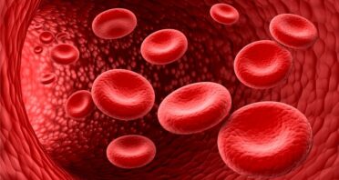 Epigenetic Drug Targets Fat, Improving Blood Vessel Health