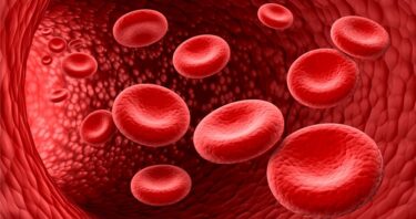 Epigenetic Drug Targets Fat, Improving Blood Vessel Health