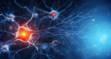 Inducing NREM-Like Neuronal Patterns Mimics Sleep Benefits