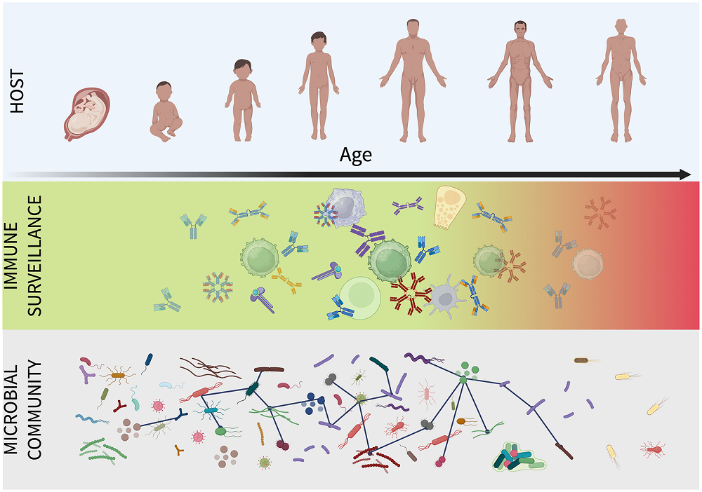 Immunosurveillance 1