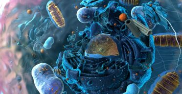 Neurons’ Protein Disposal Trick Offers Alzheimer’s Insights