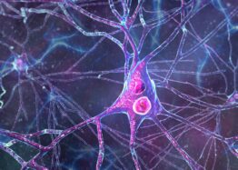 Fighting Parkinson’s by Restoring Protein Degradation