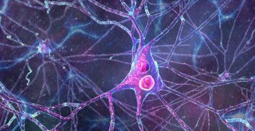 Fighting Parkinson’s by Restoring Protein Degradation