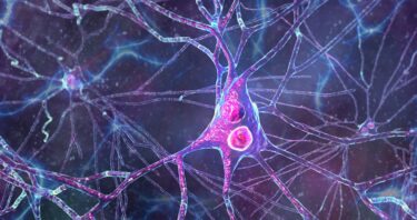 Fighting Parkinson’s by Restoring Protein Degradation