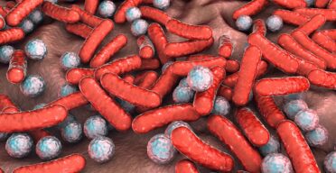 The Immune System Maintains the Microbiome