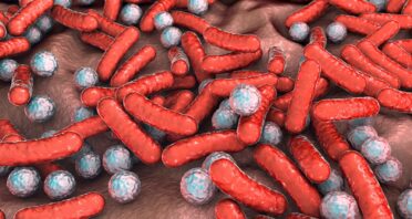 The Immune System Maintains the Microbiome