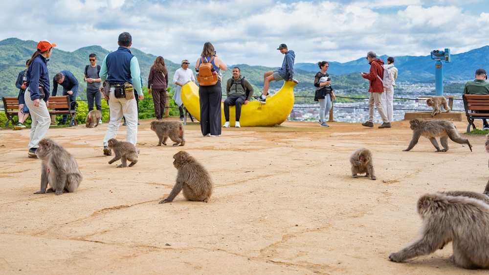 Monkeys and people
