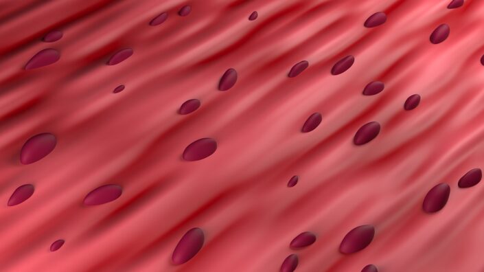 Muscle tissue