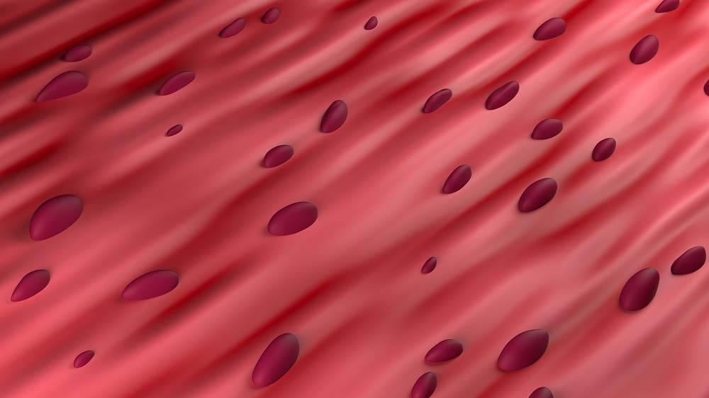 Muscle tissue