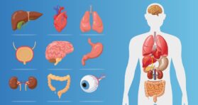 Cell Type-Specific Aging Predicts Disease Onset