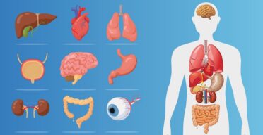 Cell Type-Specific Aging Predicts Disease Onset