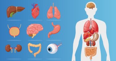 Cell Type-Specific Aging Predicts Disease Onset