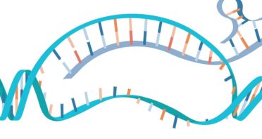 A Transcriptional Failure Leads to Systemic Inflammation