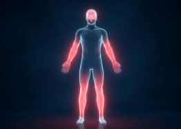 PERIPHERAL INFLAMMATION DRIVES NEURODEGENERATION VIA EXTRACELLULAR VESICLES, NEW DATA SHOWS...