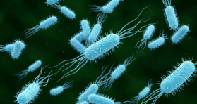 Engineered Enzyme Reverses Age-Related Protein Damage