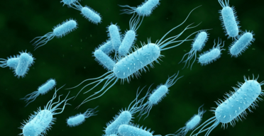 Engineered Enzyme Reverses Age-Related Protein Damage