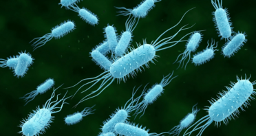 Engineered Enzyme Reverses Age-Related Protein Damage