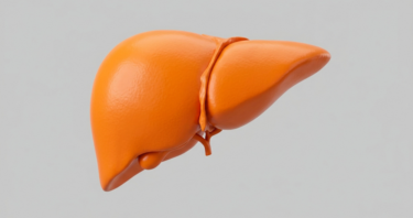Exosomes From Stem Cells Fight Liver Disease in Mice