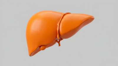Human liver