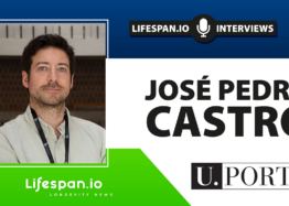 José Pedro Castro on Inflammation and Aging