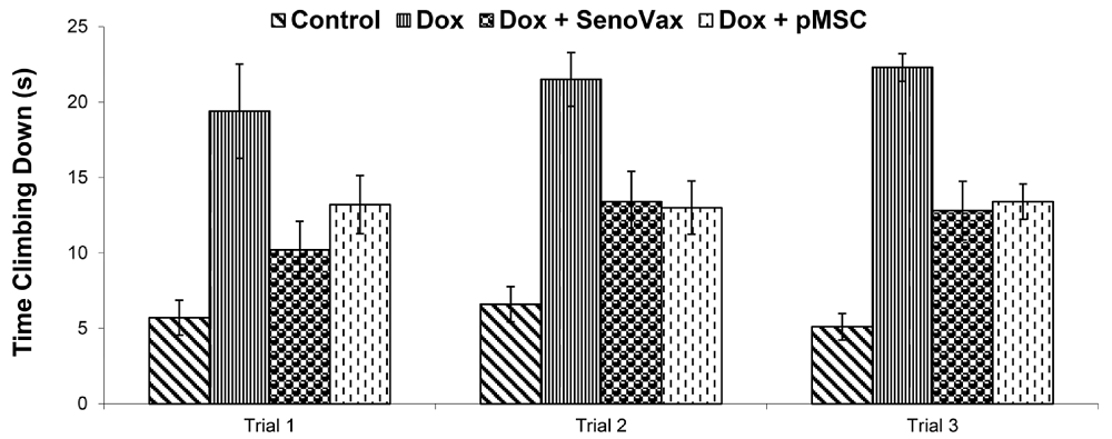 Senovax 1