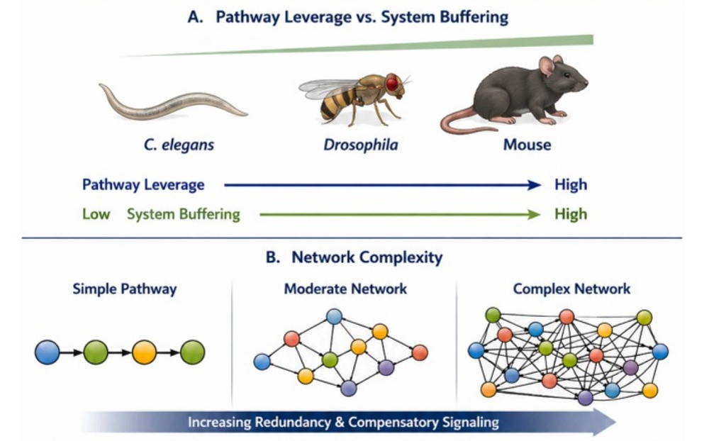 Complexity 1
