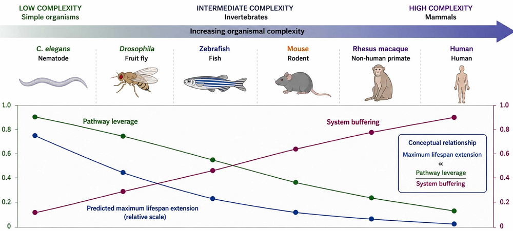 Complexity 2