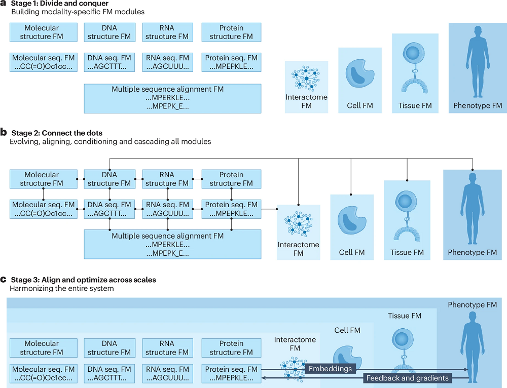 GenBio Stages