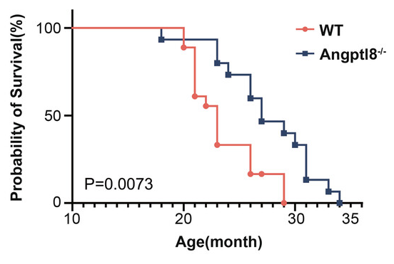 Survival curve ANGPTL8