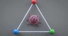 A Drug Combination Fights Both Senescence and Cancer