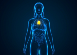 The Thymus Hormone Thymulin Reduces Inflammaging in Mice