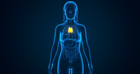 The Thymus Hormone Thymulin Reduces Inflammaging in Mice