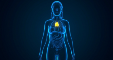 The Thymus Hormone Thymulin Reduces Inflammaging in Mice