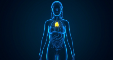 The Thymus Hormone Thymulin Reduces Inflammaging in Mice