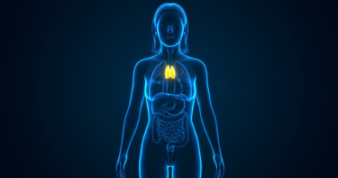 The Thymus Hormone Thymulin Reduces Inflammaging in Mice